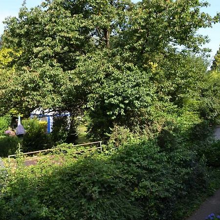 4 Sterne Ferienwohnungen Lavendel Brueggen Bruggen  Kültér fotó