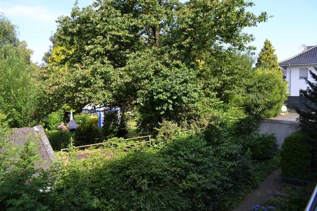 4 Sterne Ferienwohnungen Lavendel Brueggen Bruggen  Kültér fotó